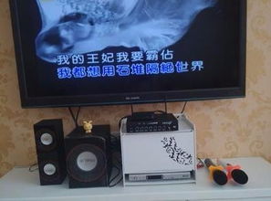 唱卡拉ok需要什么樣的設備,以及需要哪幾個部件的音響設備